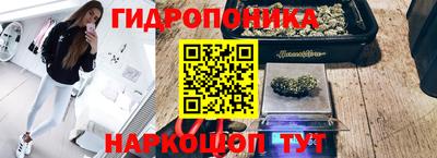 не бодяженный Берёзовский