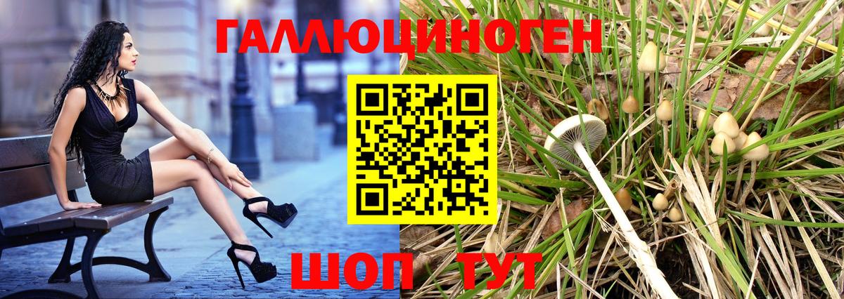 Елизово  Псилоцибиновые грибы Psilocybine cubensis  Вход с VPN 